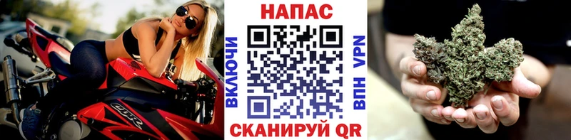 где найти   Дубовка  Бошки Шишки план 